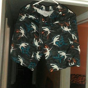 Boys Swim trunks